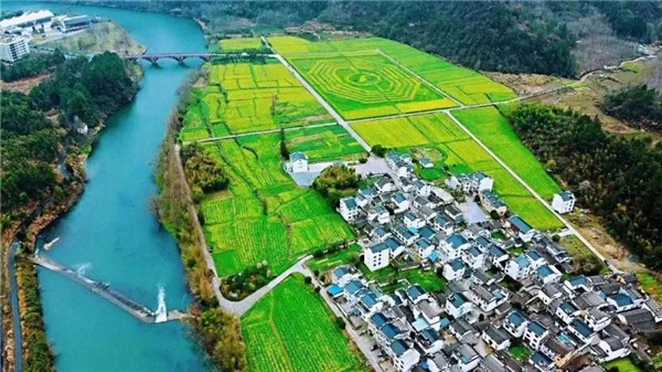赏花摄影之旅
