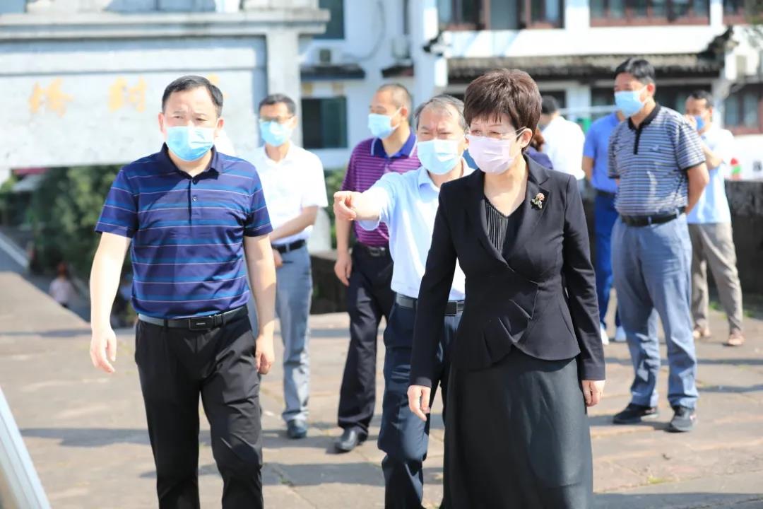 市委书记凌云到休宁县调研