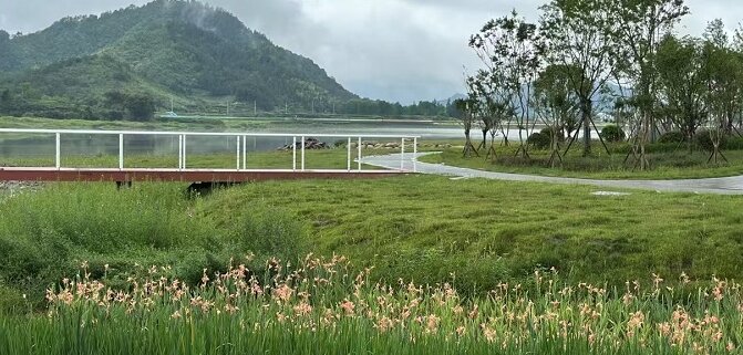 月潭湖镇：湿地修复见成效 乡村振兴新动能