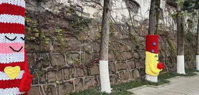 县城市管理局：为横江路行道树穿衣保暖打造暖心街区景观